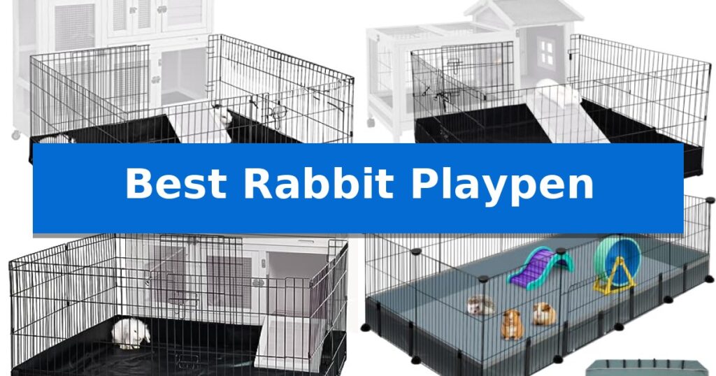 Best Rabbit Playpen
