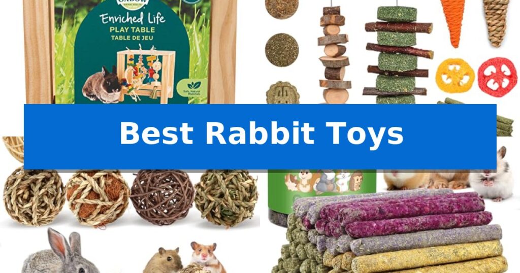 Best Rabbit Toys