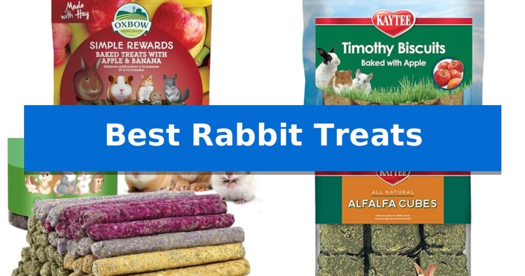 Best Rabbit Treats