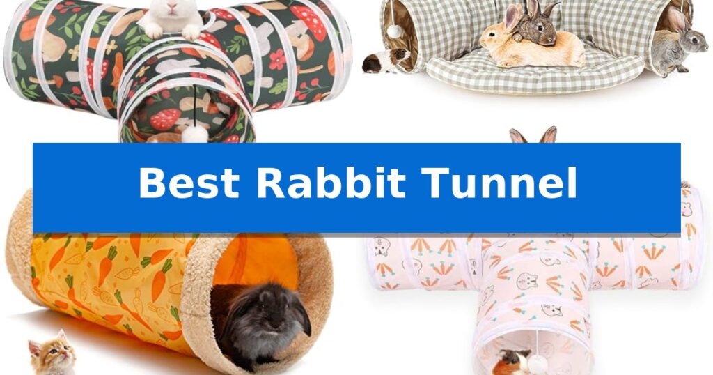 Best Rabbit Tunnel