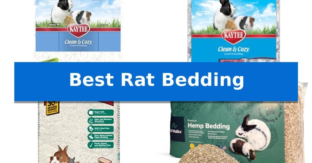 Best Rat Bedding