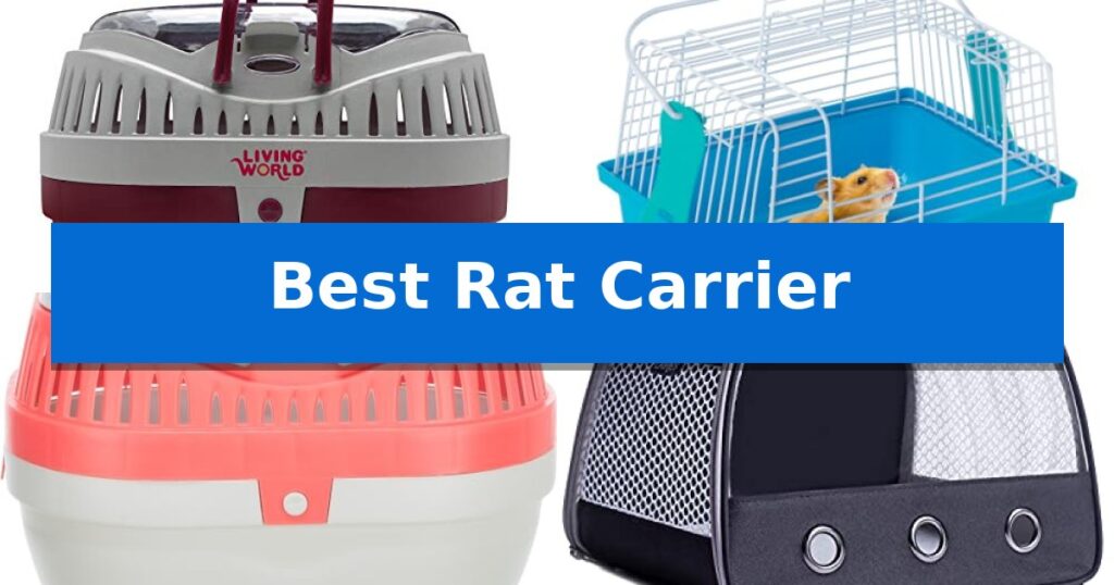 Best Rat Carrier