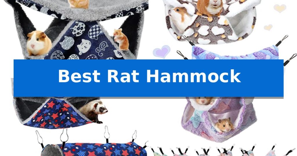 Best Rat Hammock