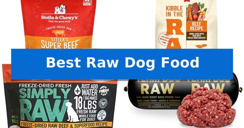 Best Raw Dog Food