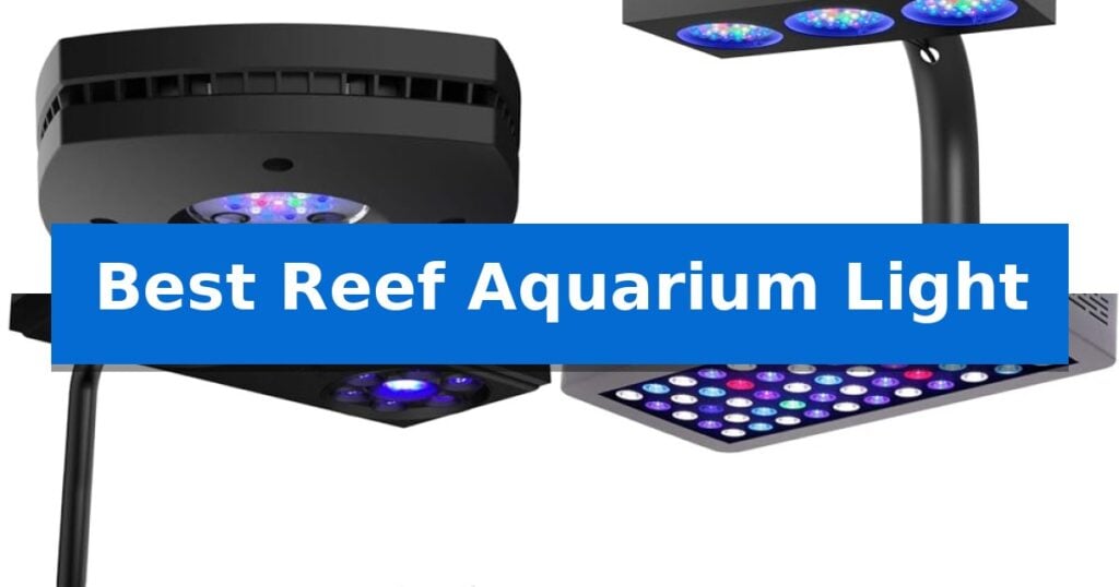 Best Reef Aquarium Light