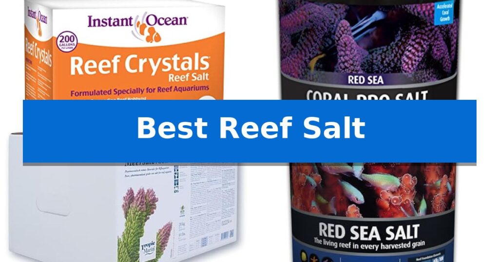 Best Reef Salt