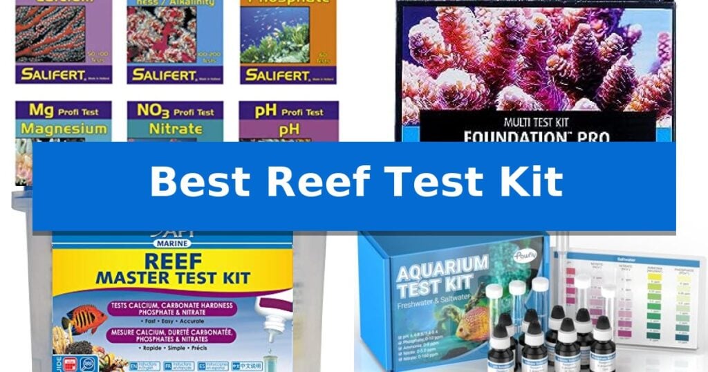 Best Reef Test Kit