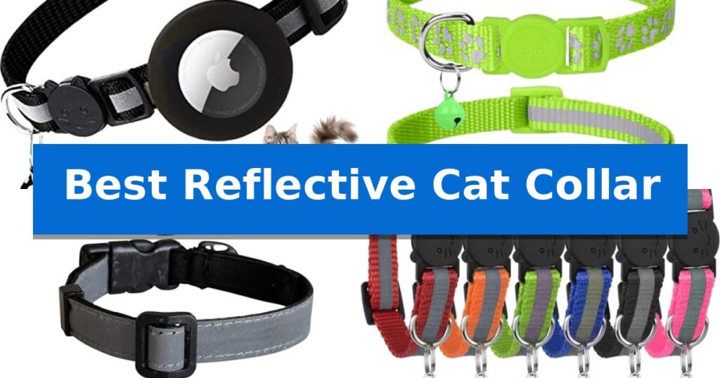 Best Reflective Cat Collar