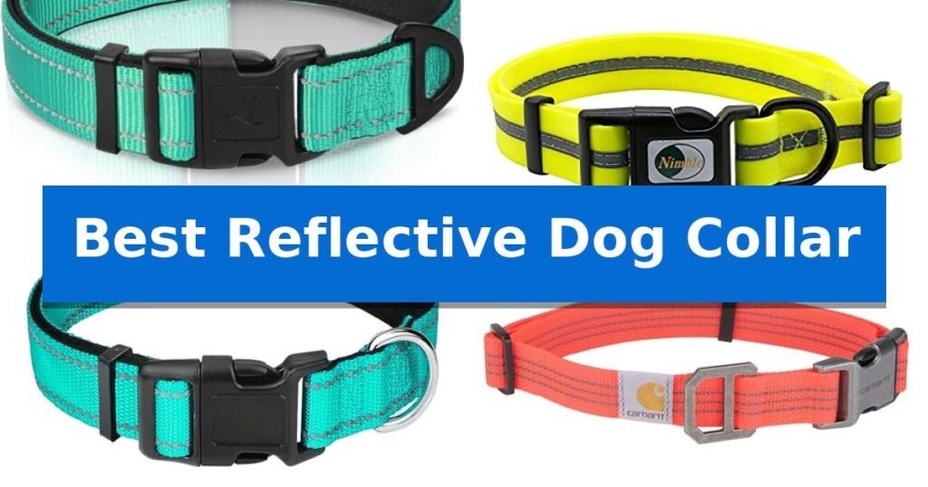 Best Reflective Dog Collar