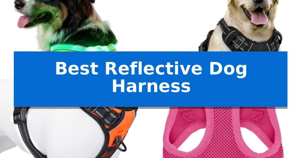 Best Reflective Dog Harness