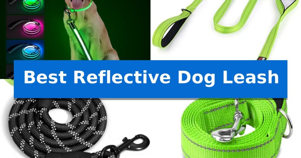 Best Reflective Dog Leash