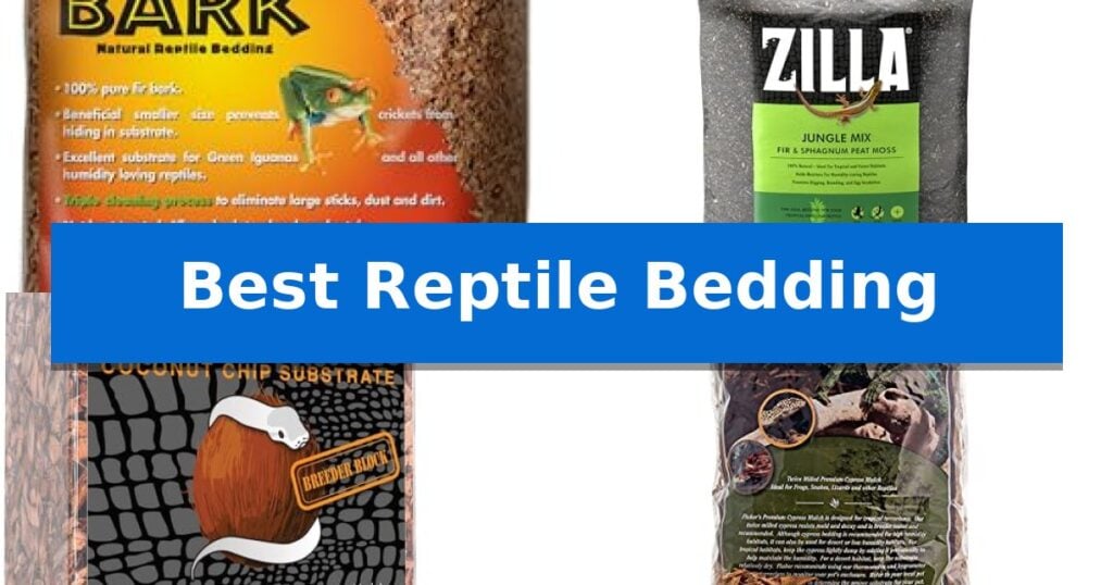 Best Reptile Bedding