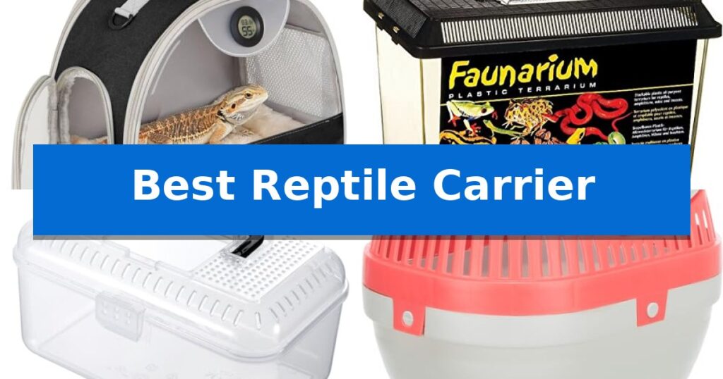 Best Reptile Carrier