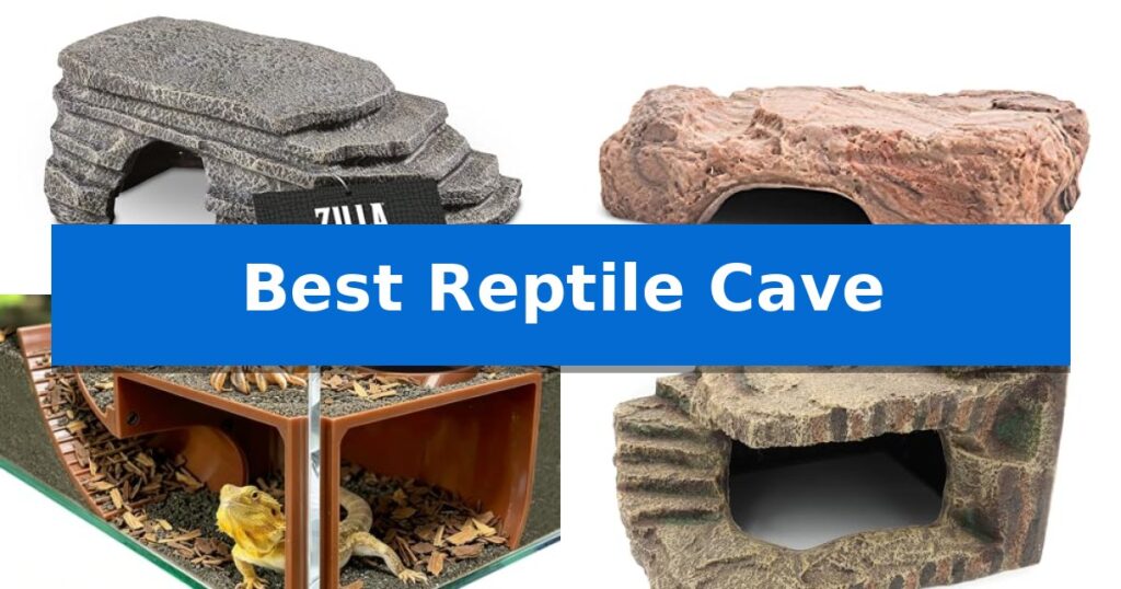 Best Reptile Cave