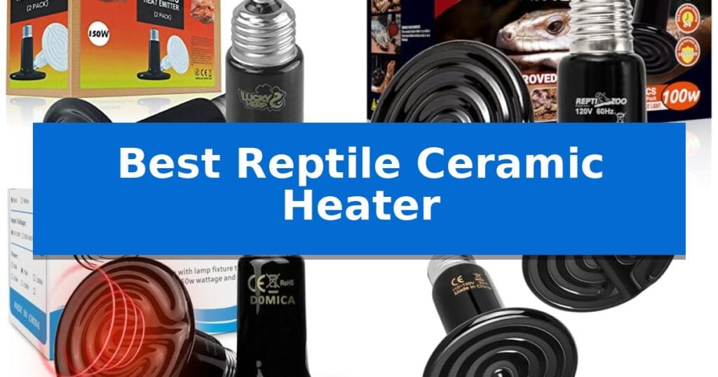 Best Reptile Ceramic Heater