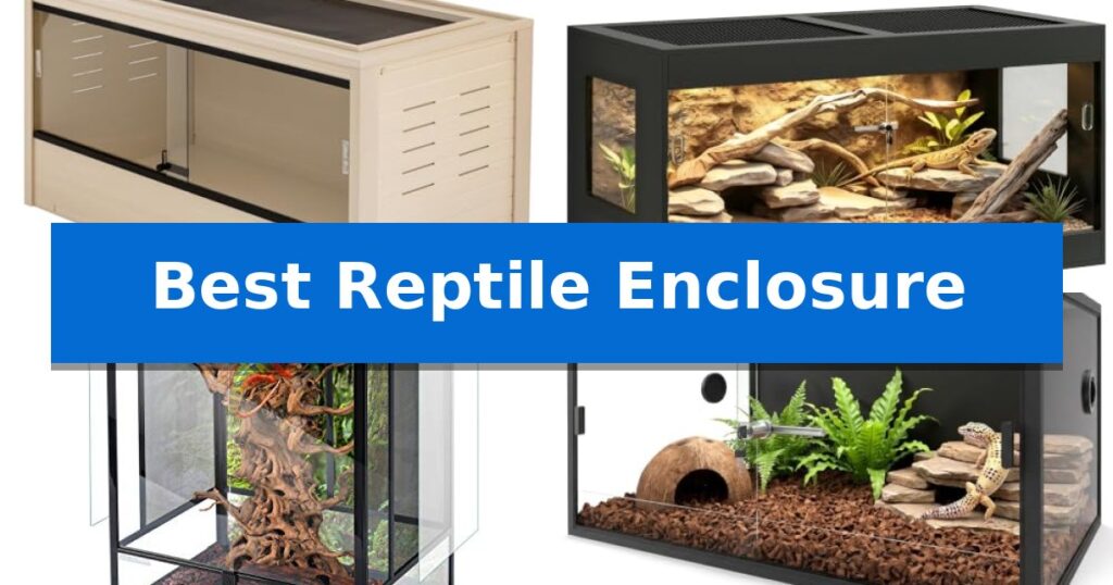 Best Reptile Enclosure