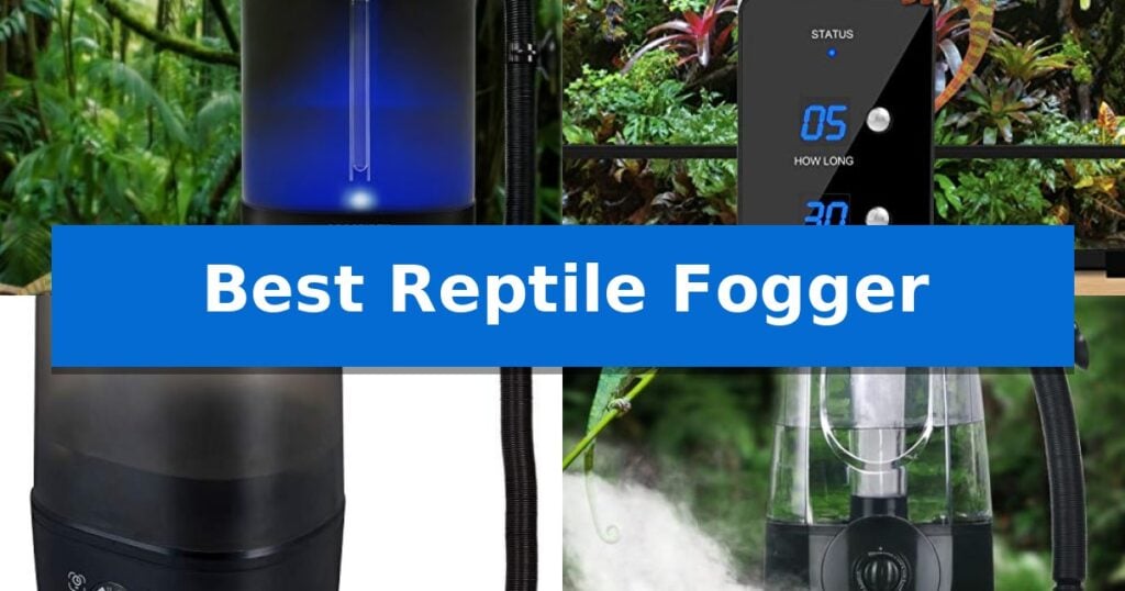 Best Reptile Fogger