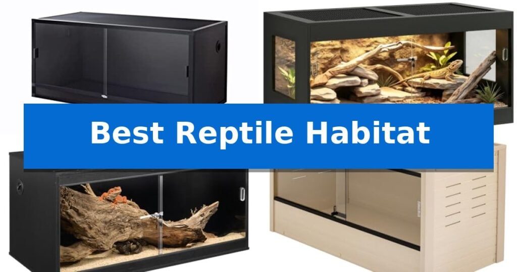 Best Reptile Habitat