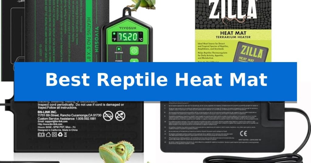Best Reptile Heat Mat