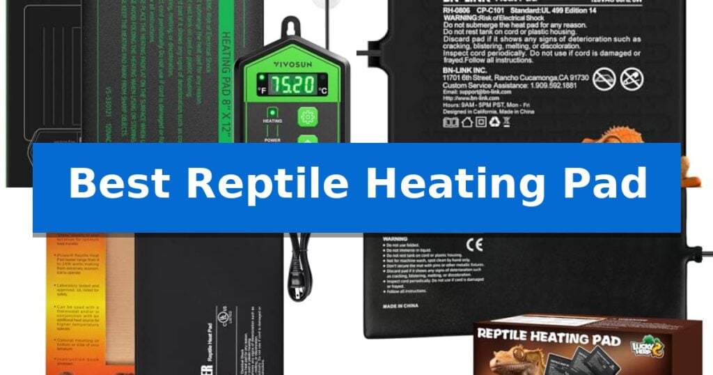 Best Reptile Heating Pad