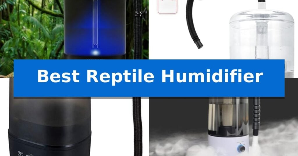 Best Reptile Humidifier