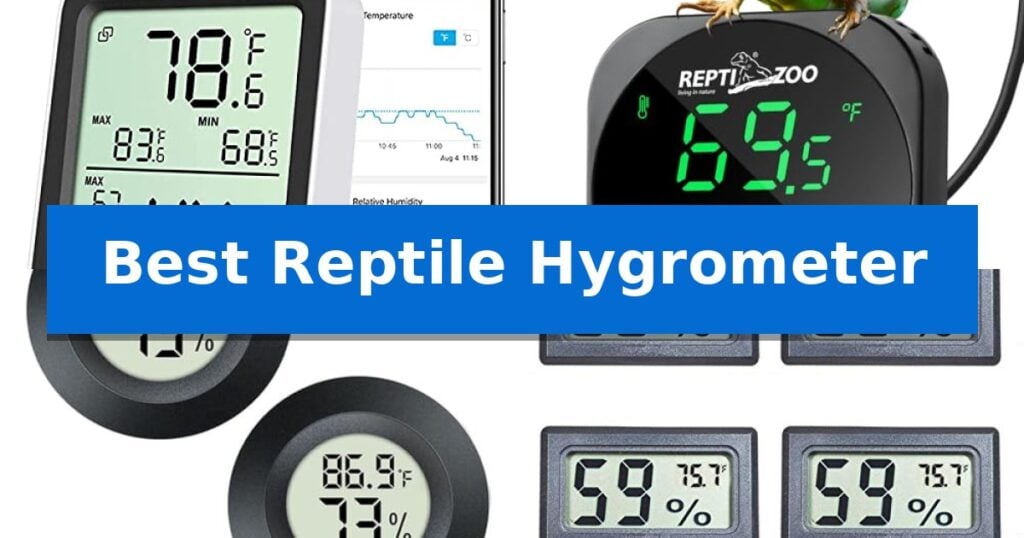 Best Reptile Hygrometer