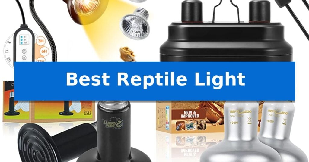 Best Reptile Light