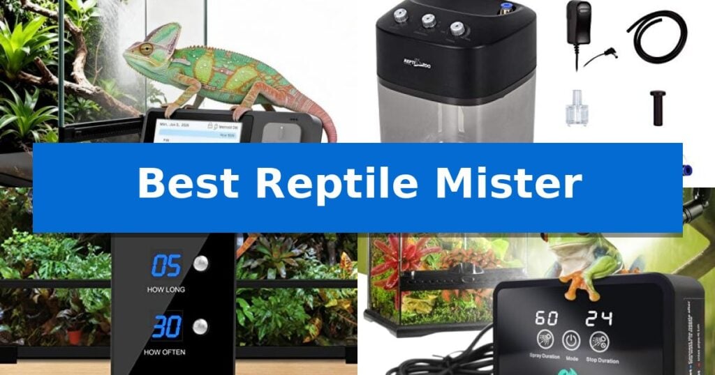 Best Reptile Mister