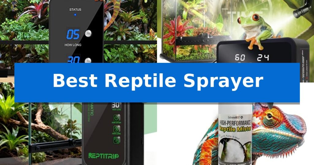 Best Reptile Sprayer