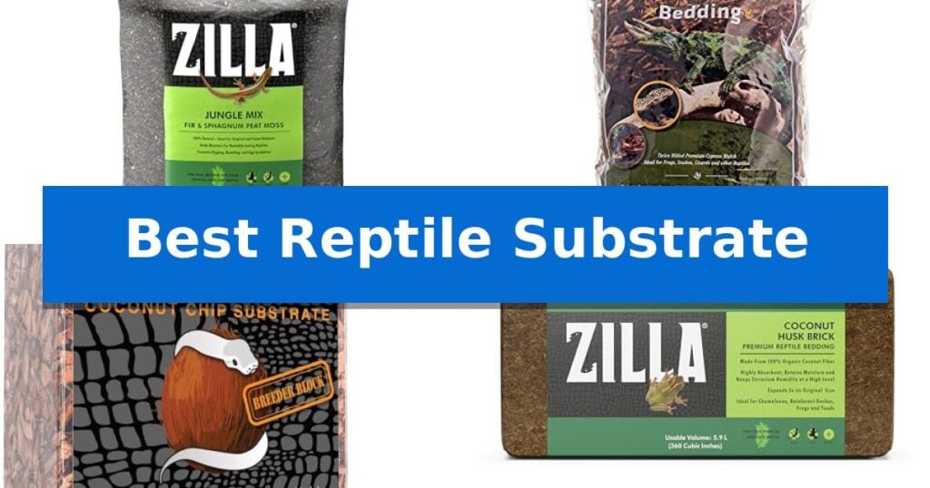 Best Reptile Substrate