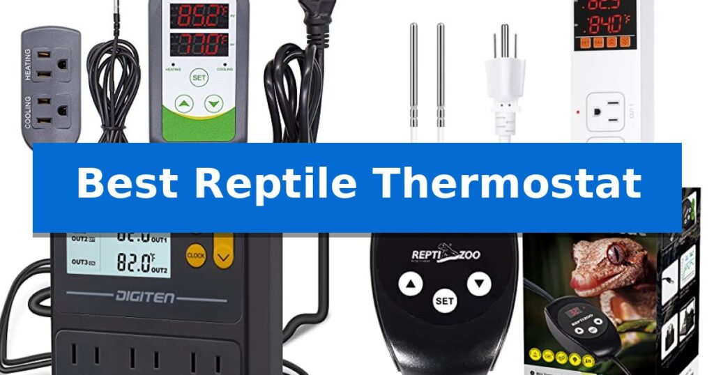 Best Reptile Thermostat