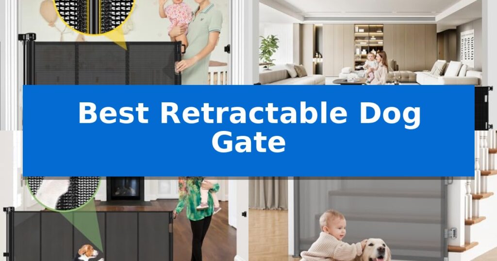 Best Retractable Dog Gate