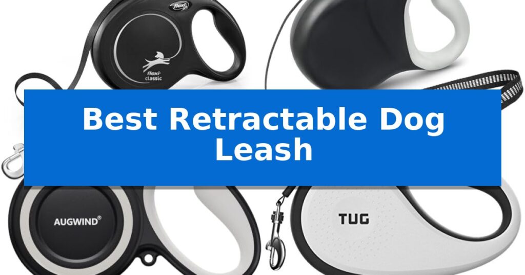 Best Retractable Dog Leash