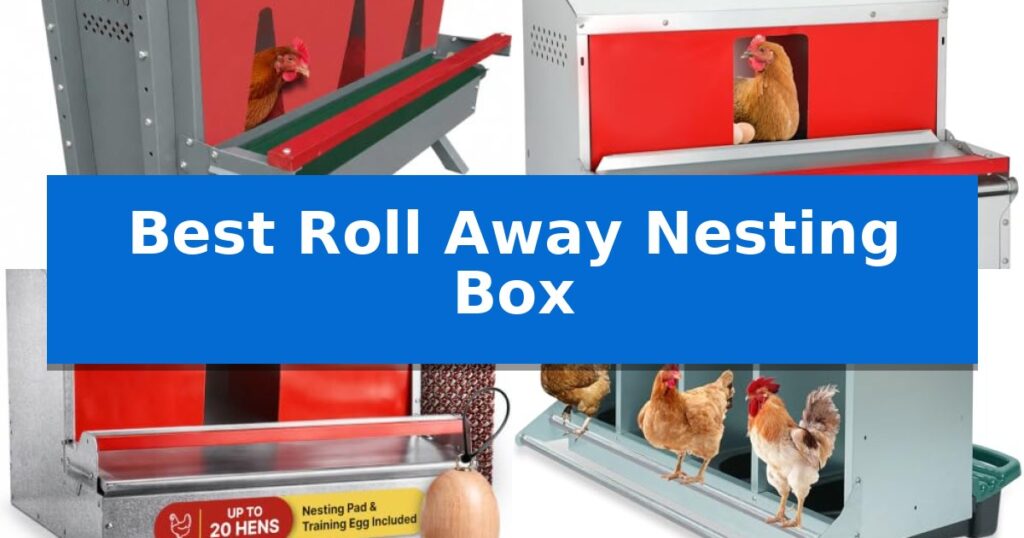 Best Roll Away Nesting Box