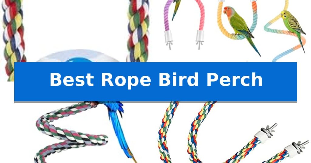 Best Rope Bird Perch