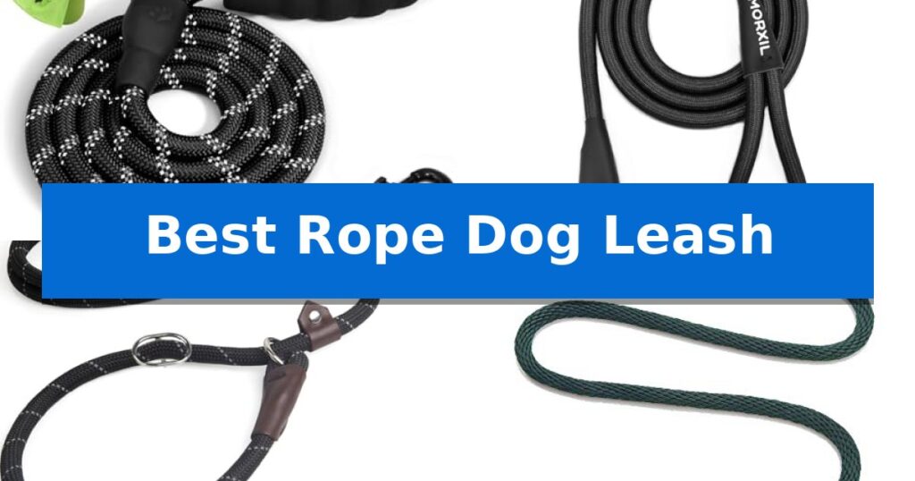 Best Rope Dog Leash