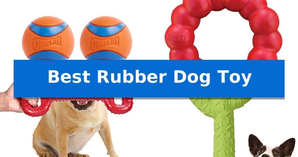 Best Rubber Dog Toy