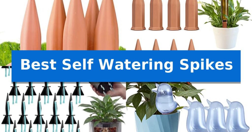 Best Self Watering Spikes