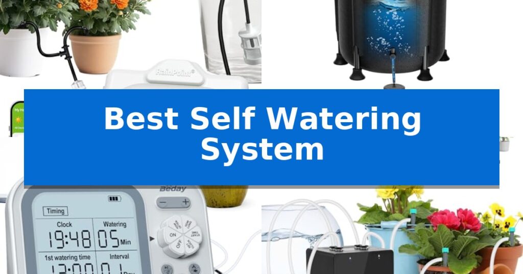 Best Self Watering System
