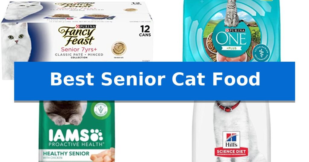 Best Senior Cat Food