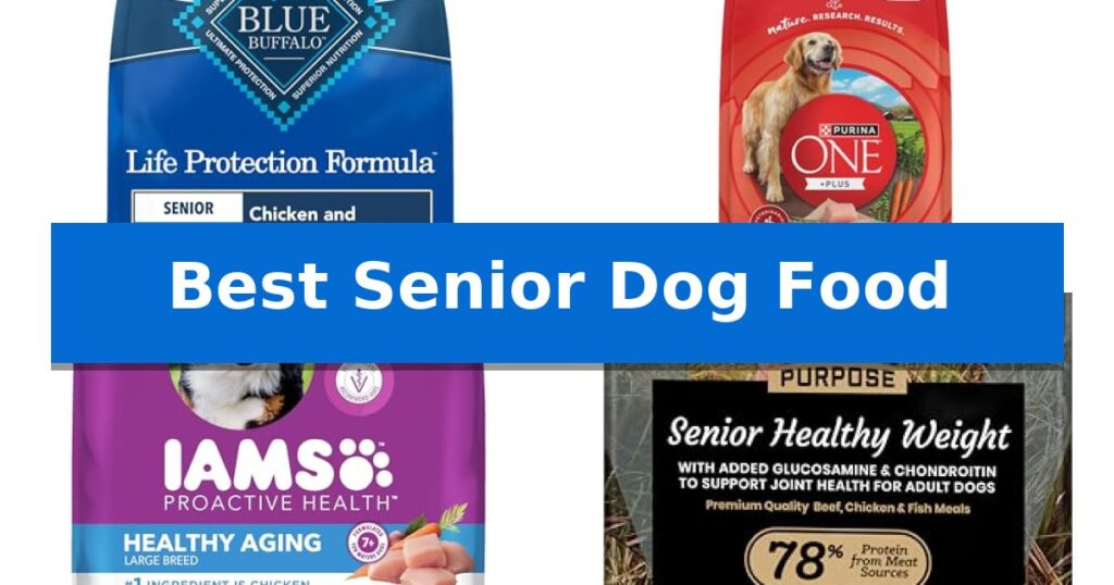 Best Senior Dog Food