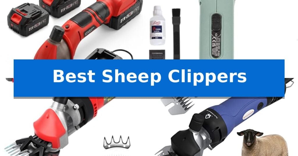 Best Sheep Clippers