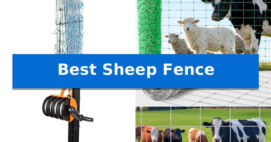 Best Sheep Fence