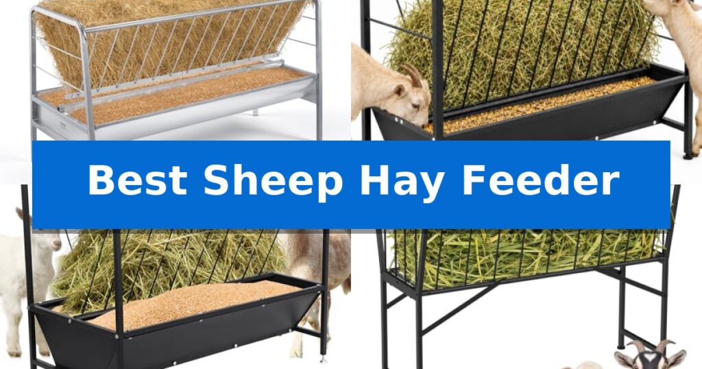Best Sheep Hay Feeder