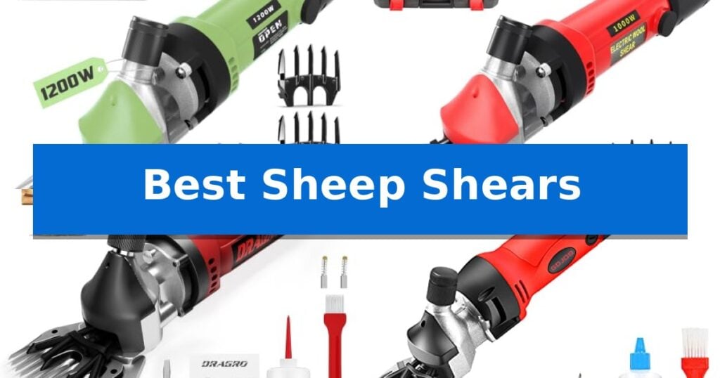 Best Sheep Shears
