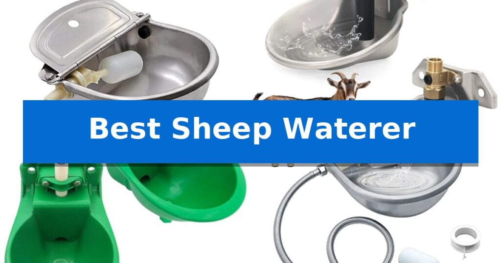 Best Sheep Waterer