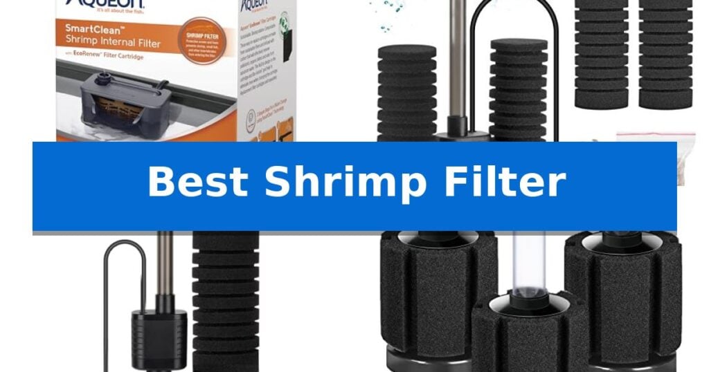 Best Shrimp Filter
