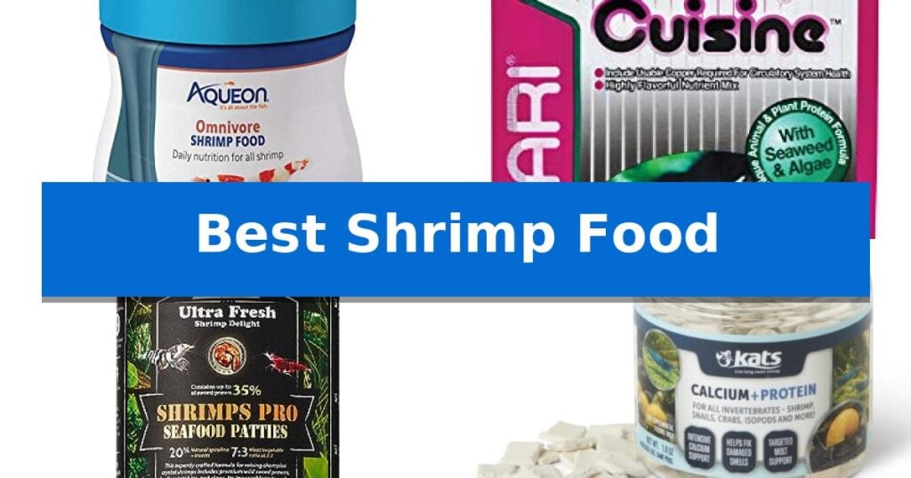 Best Shrimp Food