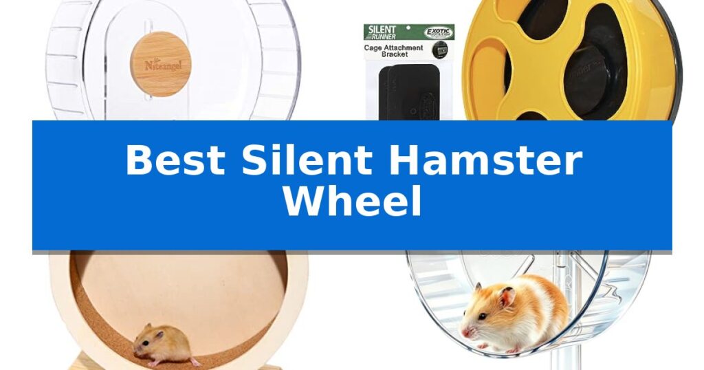 Best Silent Hamster Wheel