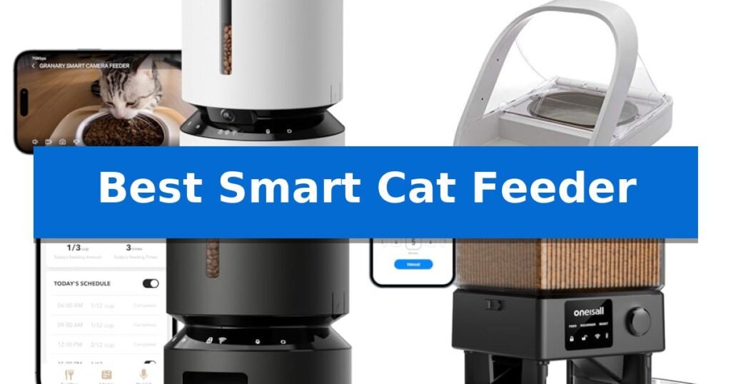 Best Smart Cat Feeder